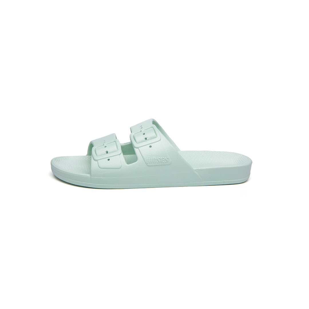 Slipper Sage