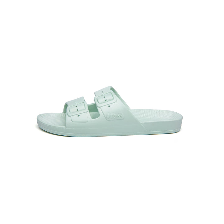 Slipper Sage