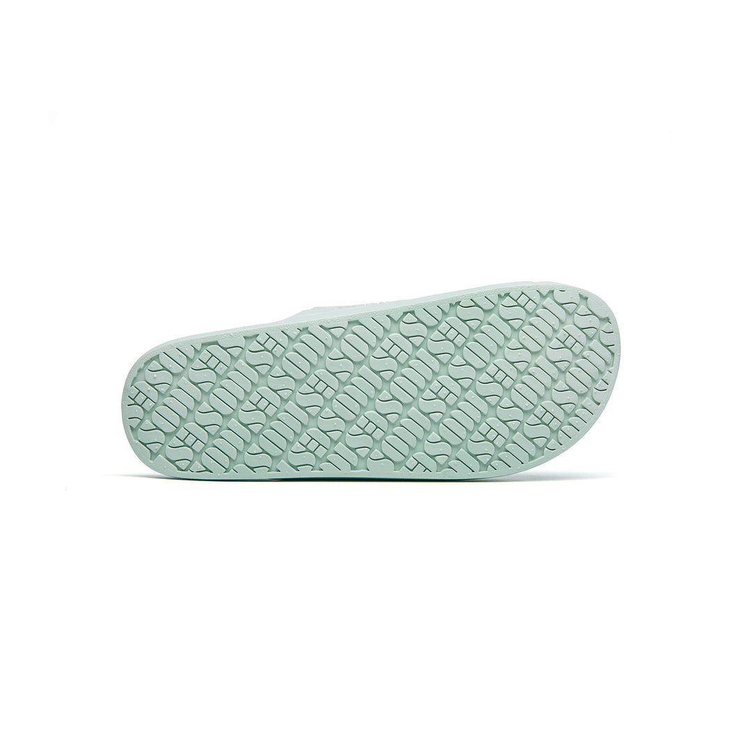 Slipper Sage