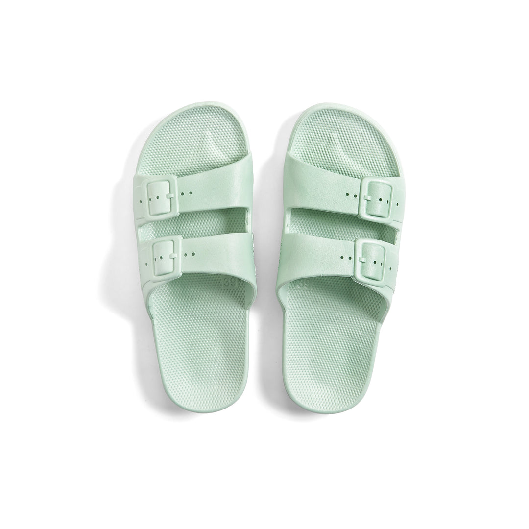 Slipper Sage