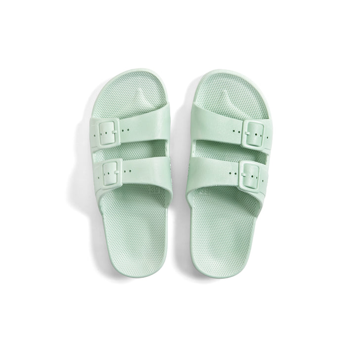 Slipper Sage