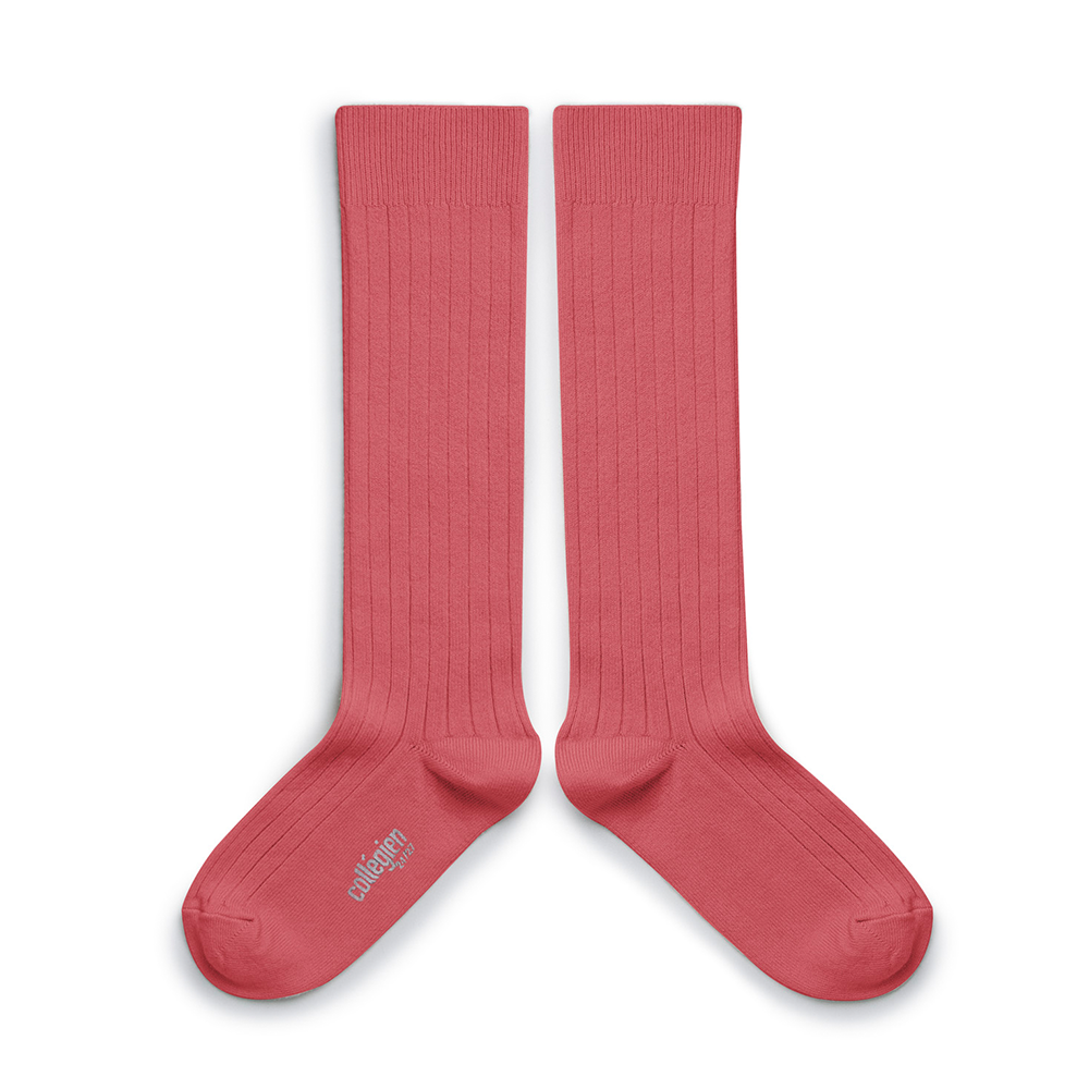 Kniekous roze - Rose Litchi