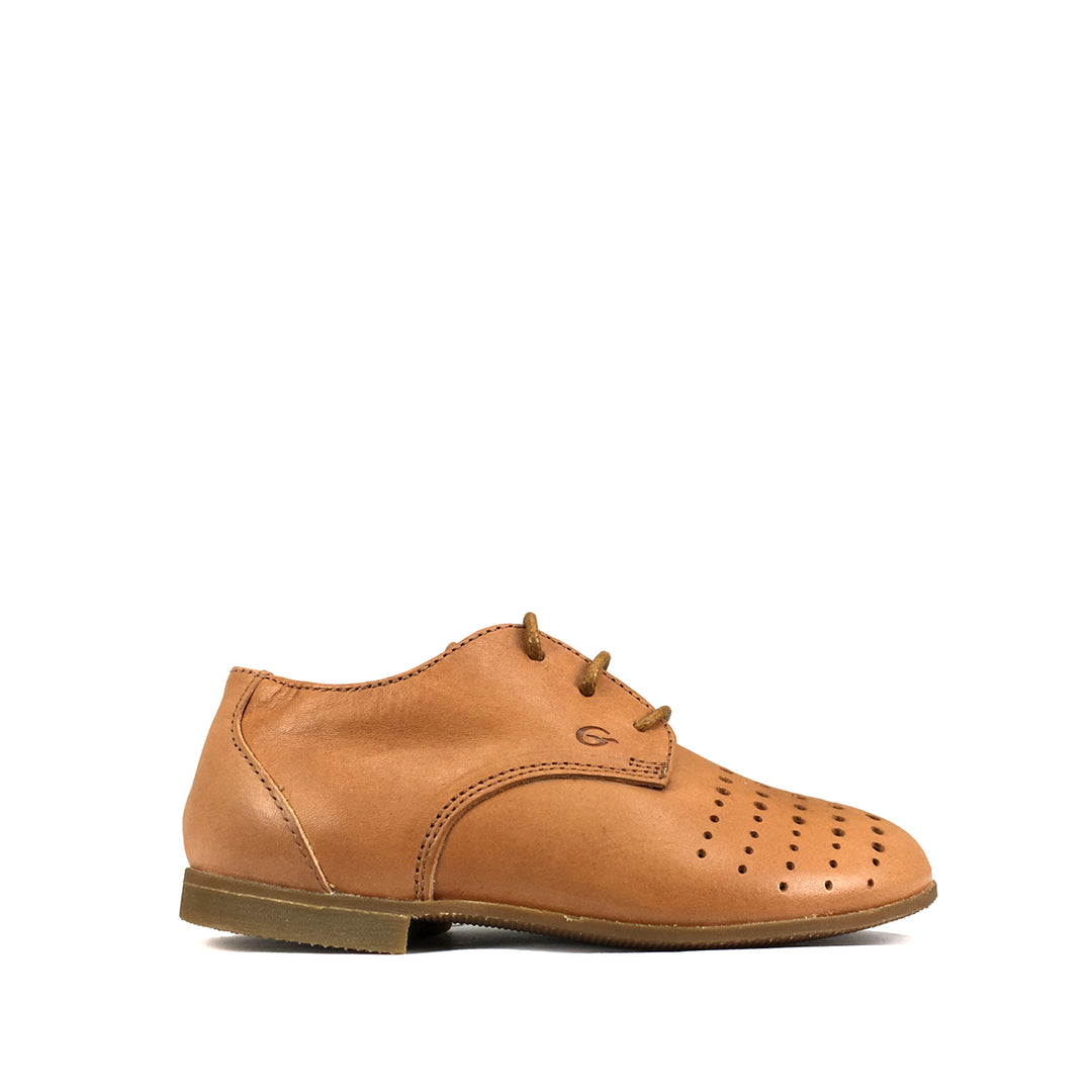 Derby brown