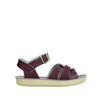 Swimmer claret