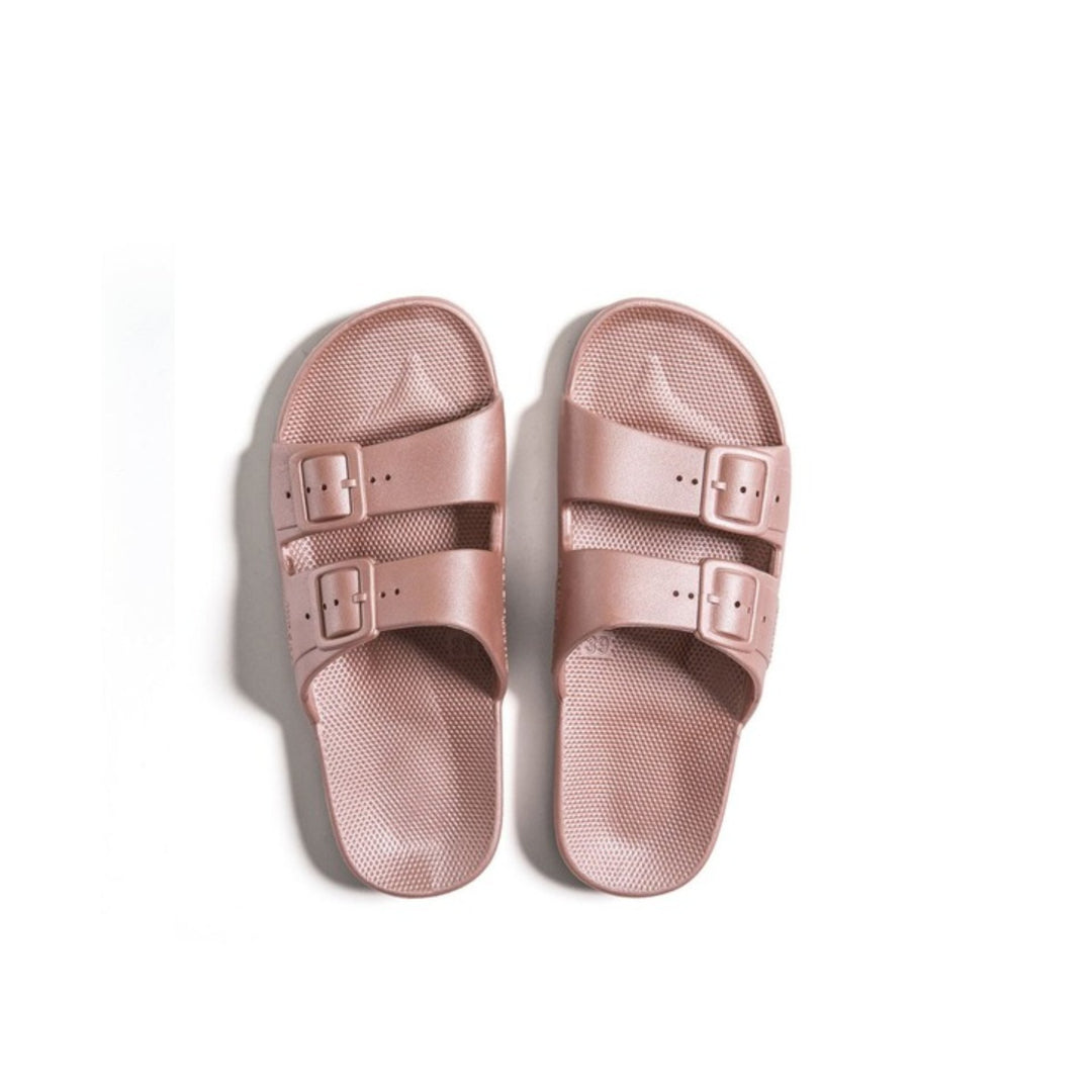 Slipper Venus