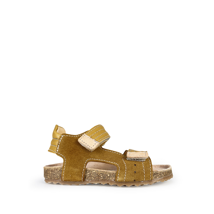 Sandal ochre