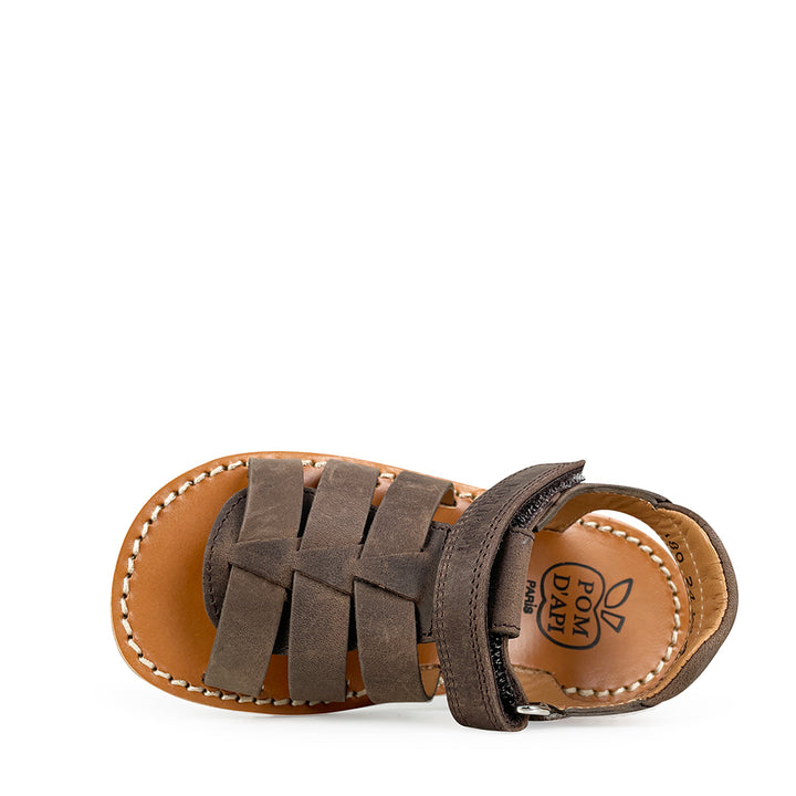 Brown sandal on white sole