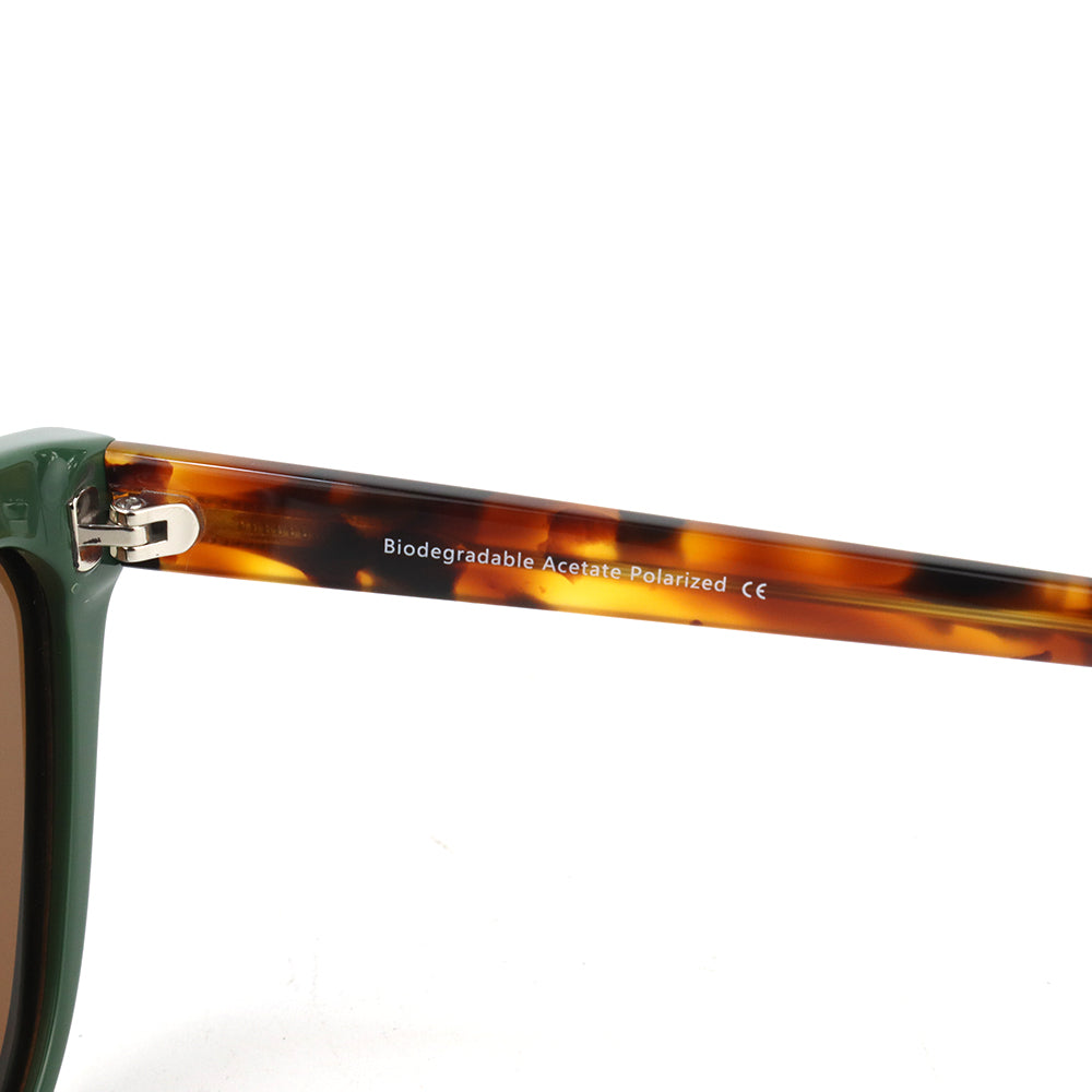 Sunglasses Sherwood Green + Brown Tortoise