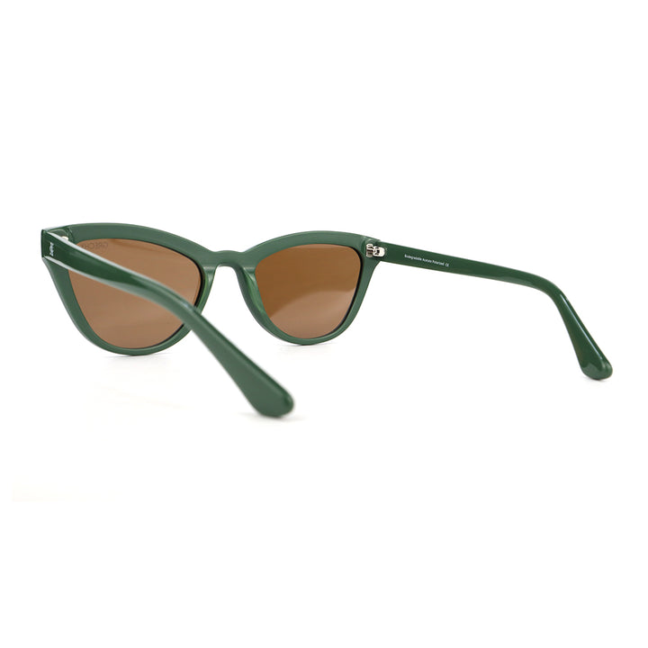 Sunglasses Sherwood Green