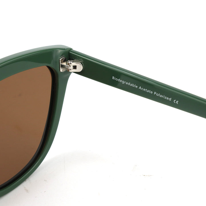 Sunglasses Sherwood Green