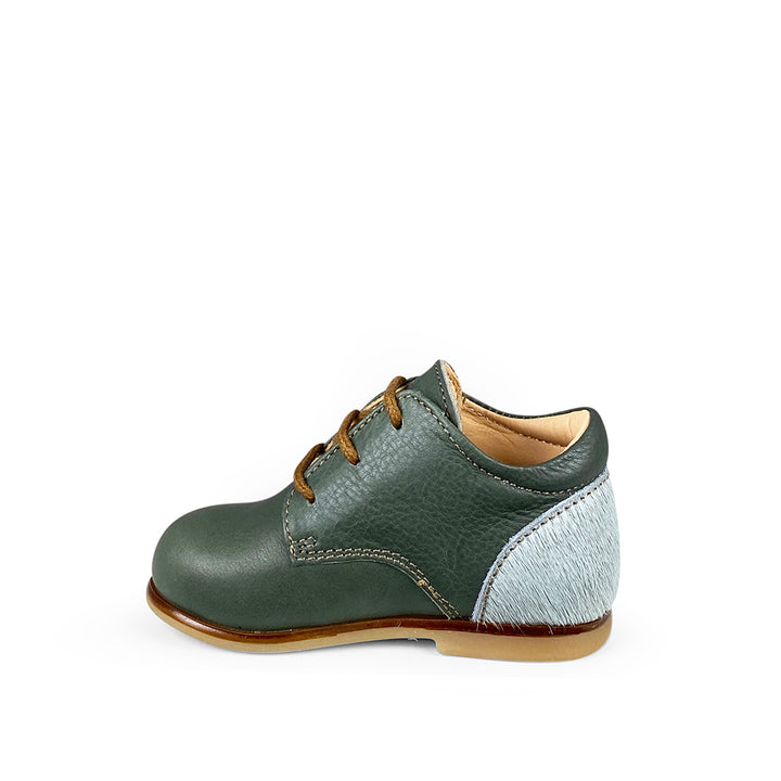 Derby green/blue