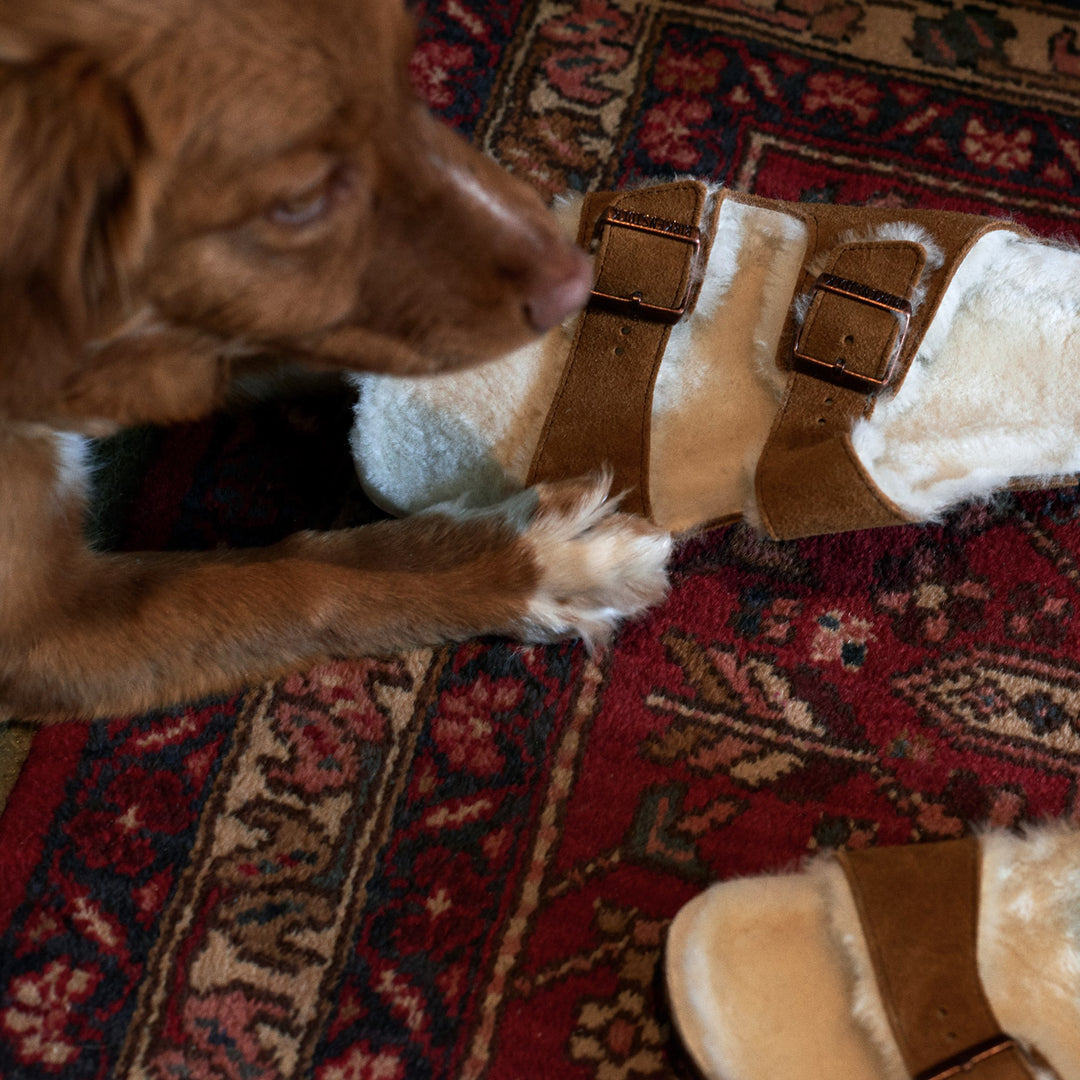 Slipper brown / wool