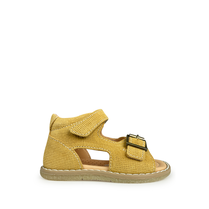 Sandal ochre