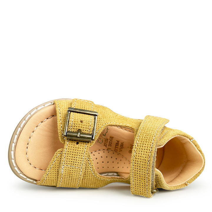 Sandal ochre