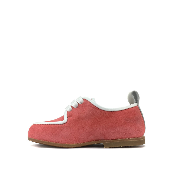 Derby coral