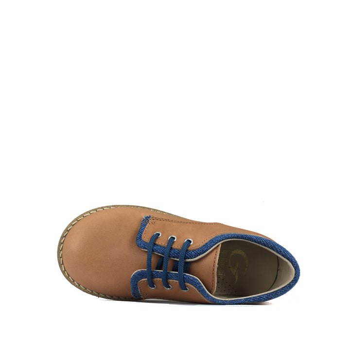 Derby brown/blue