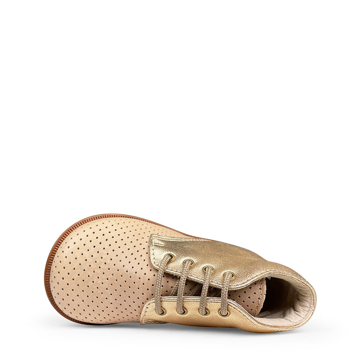 Lace-up shoe brown/taupe