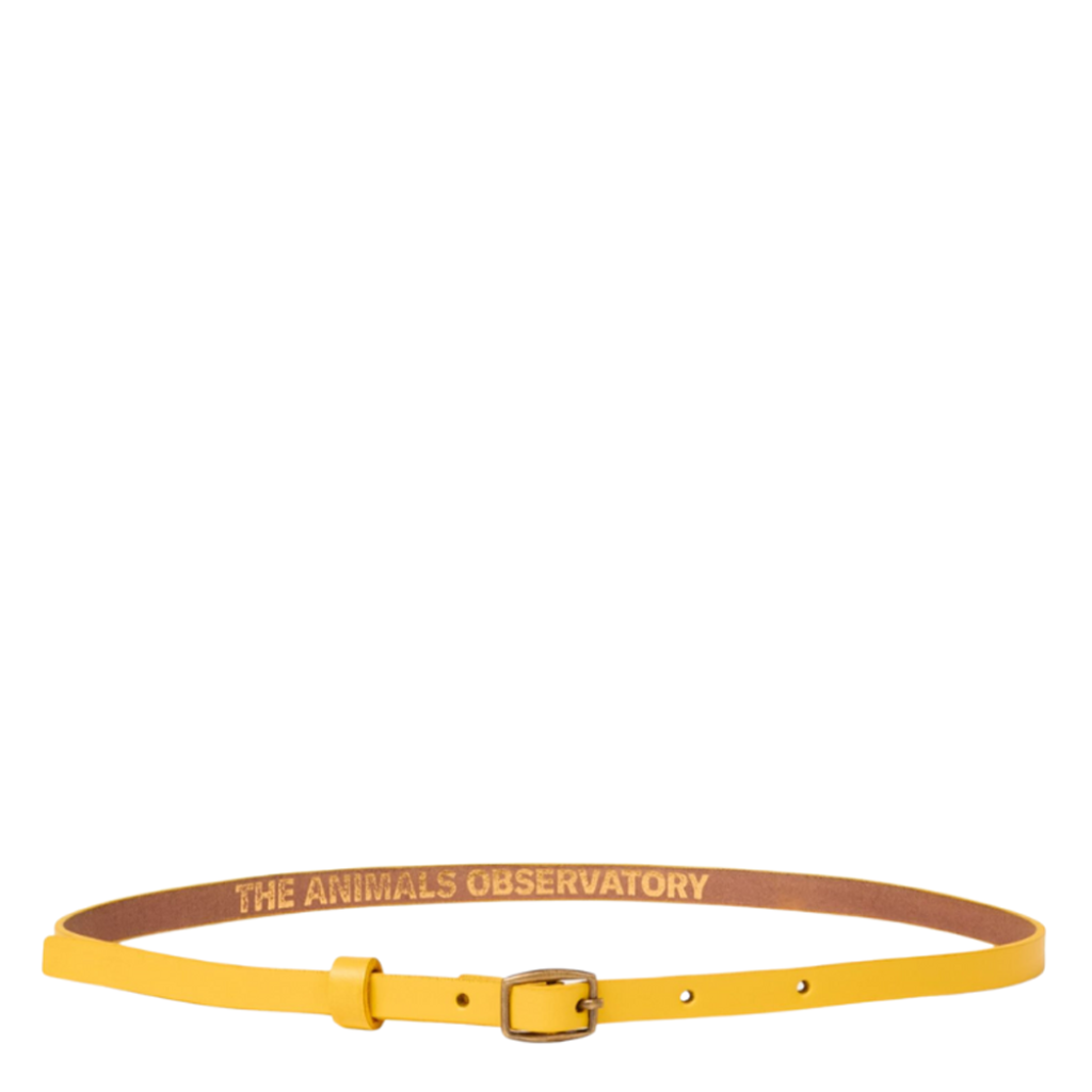 The Animals Observatory - Yellow leather belt TAO