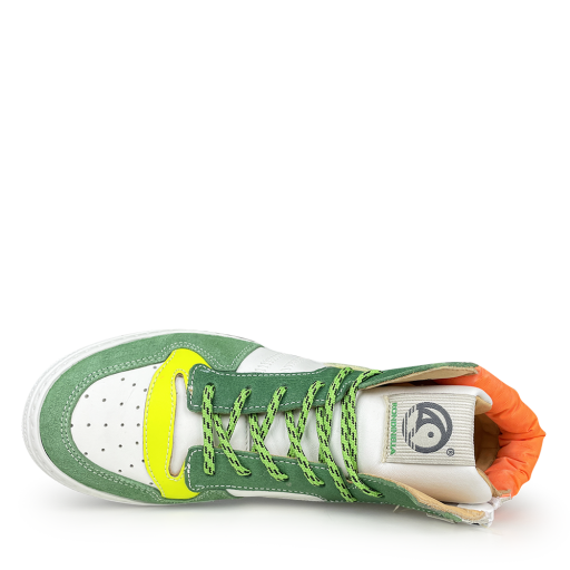 Rondinella sneaker Multicolor sneaker groen