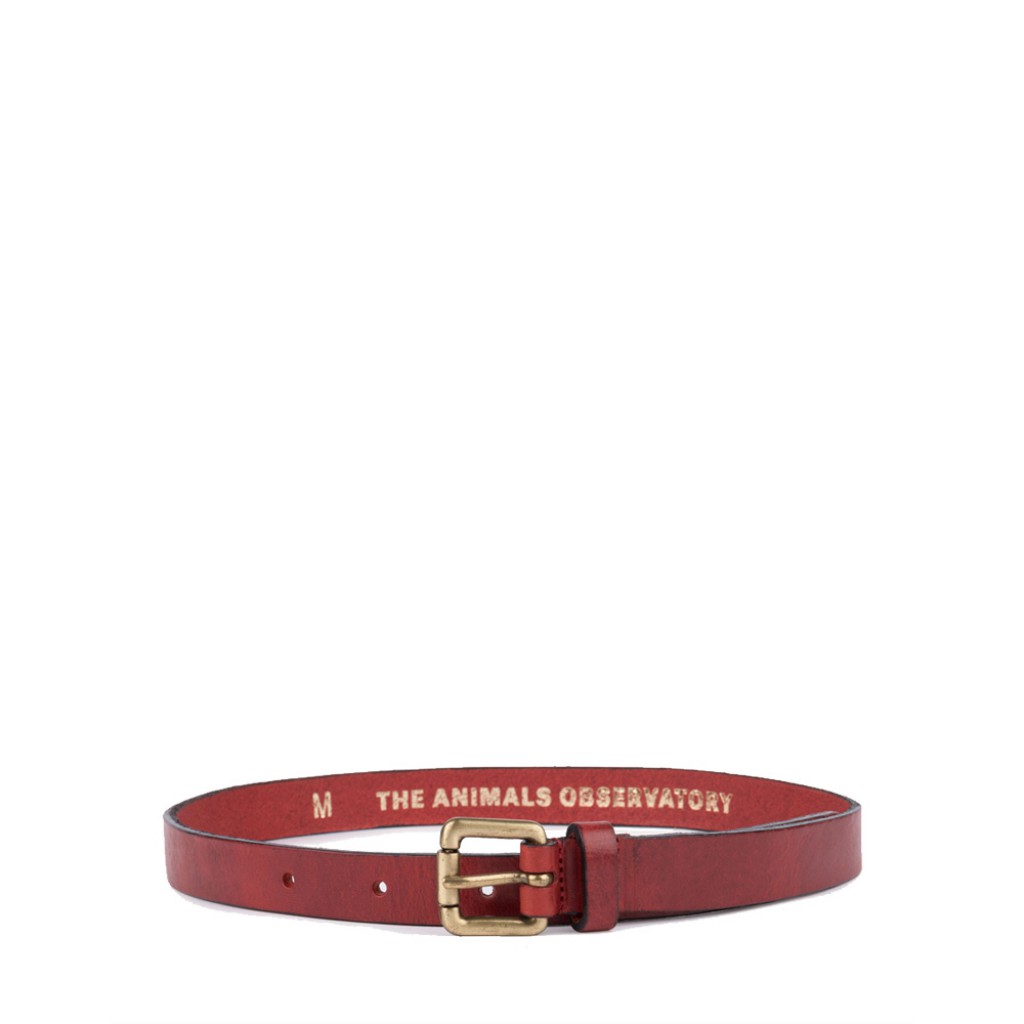The Animals Observatory - Brown leather belt